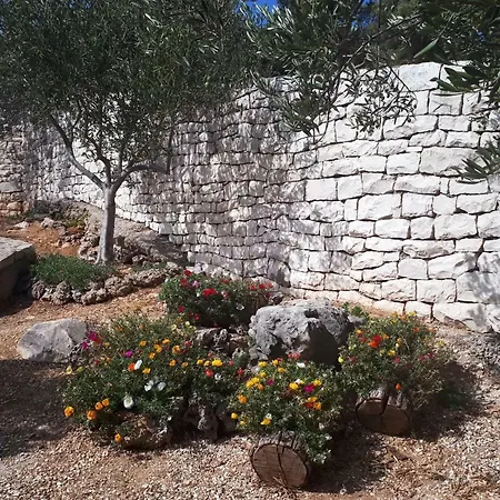 Apartment Panorama *